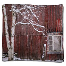 Snow Covered Birch Tree And A Red Barn Blankets 222233165