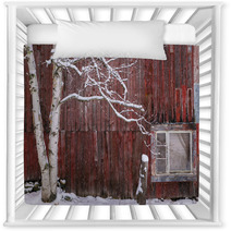 Snow Covered Birch Tree And A Red Barn Nursery Decor 222233165