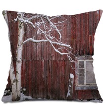 Snow Covered Birch Tree And A Red Barn Pillows 222233165