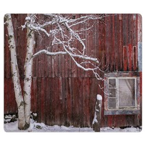 Snow Covered Birch Tree And A Red Barn Rugs 222233165