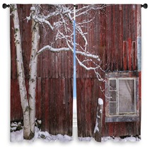 Snow Covered Birch Tree And A Red Barn Window Curtains 222233165