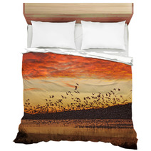 Snow Geese Flying At Sunrise Bedding 59832837