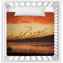 Snow Geese Flying At Sunrise Nursery Decor 59832837