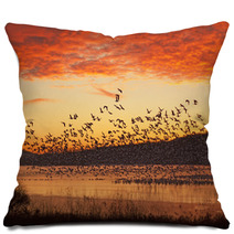 Snow Geese Flying At Sunrise Pillows 59832837