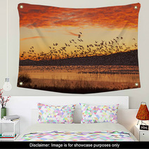Snow Geese Flying At Sunrise Wall Art 59832837