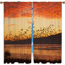 Snow Geese Flying At Sunrise Window Curtains 59832837