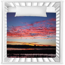 Snow Geese Flying Silhouetted At Sunrise Nursery Decor 89717224