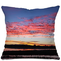 Snow Geese Flying Silhouetted At Sunrise Pillows 89717224