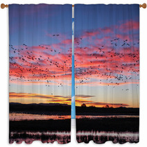 Snow Geese Flying Silhouetted At Sunrise Window Curtains 89717224