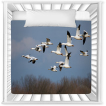 Snow Geese In Flight Nursery Decor 45467064