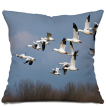 Snow Geese In Flight Pillows 45467064