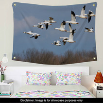 Snow Geese In Flight Wall Art 45467064