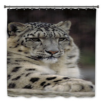 Snow Leopard Bath Decor 1514299