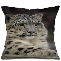 Snow Leopard Pillows 1514299