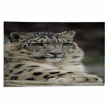 Snow Leopard Rugs 1514299