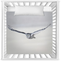Snowy Owl (Bubo Scandiacus) Nursery Decor 62704352