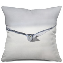 Snowy Owl (Bubo Scandiacus) Pillows 62704352