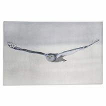 Snowy Owl (Bubo Scandiacus) Rugs 62704352