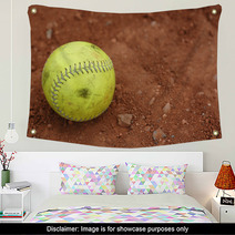 Softball, Well Used Wall Art 3425818
