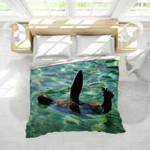 South African Fur Seal. Bedding 91575495