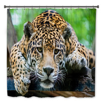 South American Jaguar Bath Decor 65728346