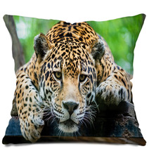 South American Jaguar Pillows 65728346