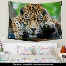 South American Jaguar Wall Art 65728346