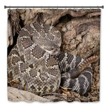 Southern Pacific Rattlesnake. Bath Decor 46949109
