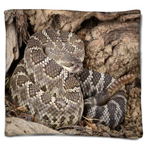 Southern Pacific Rattlesnake. Blankets 46949109