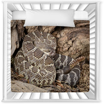 Southern Pacific Rattlesnake. Nursery Decor 46949109