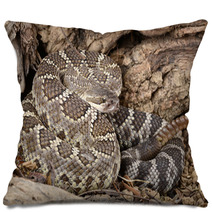Southern Pacific Rattlesnake. Pillows 46949109