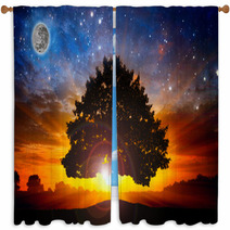 Space Tree Window Curtains 60652375