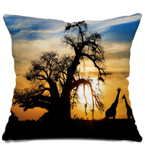 Spectacular African Sunset With Baobab And Giraffe Pillows 44948016