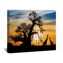 Spectacular African Sunset With Baobab And Giraffe Wall Art 44948016