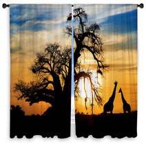 Spectacular African Sunset With Baobab And Giraffe Window Curtains 44948016