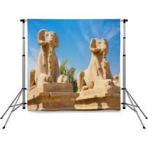 Sphinxes Luxor Egypt Backdrops 65225212