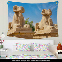 Sphinxes Luxor Egypt Wall Art 65225212