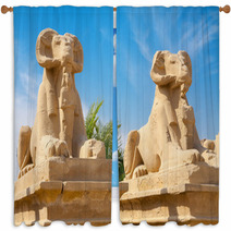 Sphinxes Luxor Egypt Window Curtains 65225212