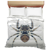 Spider Evarcha Arcuata Bedding 70352307