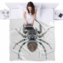 Spider Evarcha Arcuata Blankets 70352307