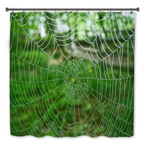 Spider Web Bath Decor 348634