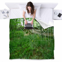 Spider Web Blankets 348634