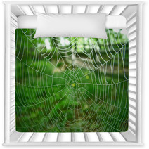 Spider Web Nursery Decor 348634