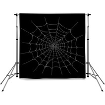 Spider Web On Black  Vector EPS AI 8 Backdrops 25420841