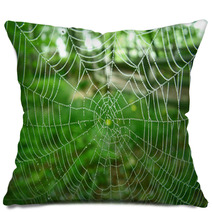 Spider Web Pillows 348634