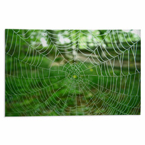 Spider Web Rugs 348634