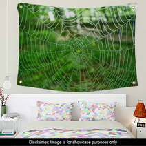 Spider Web Wall Art 348634
