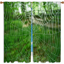 Spider Web Window Curtains 348634