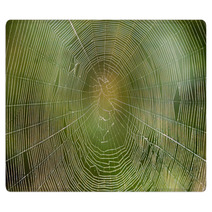 Spiders Web Rugs 81552