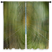 Spiders Web Window Curtains 81552